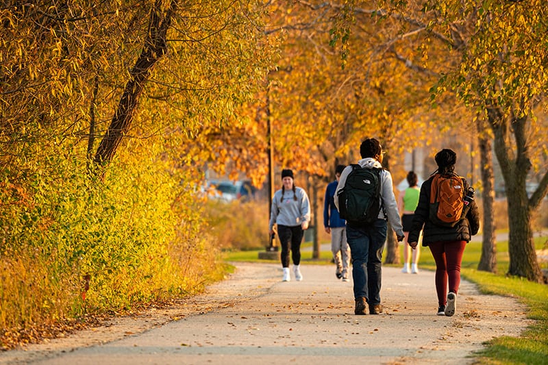 People walk along the lakeshore path during fall, framed by trees with golden leaves