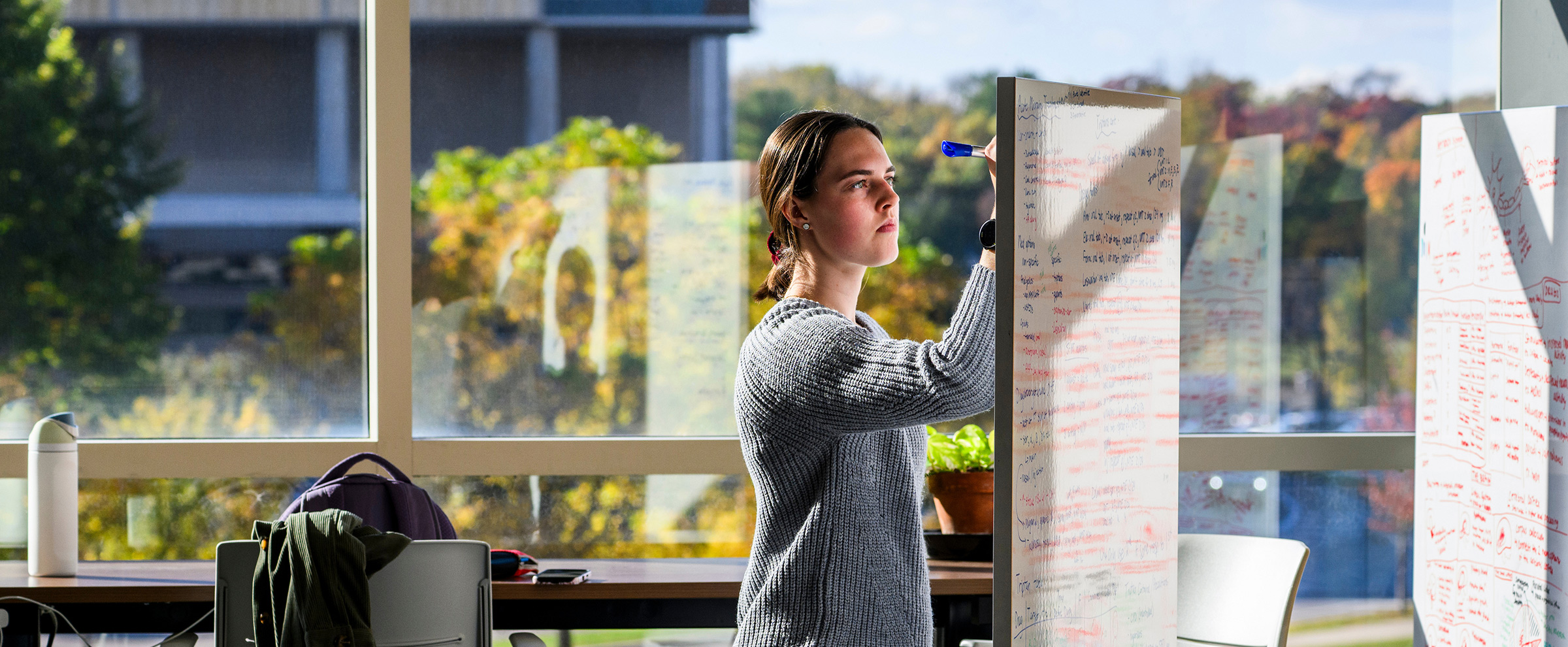 A female student stands in a sunlit office workspace, writing notes on a whiteboard covered with handwritten text and diagrams, with large windows and autumn foliage visible in the background.