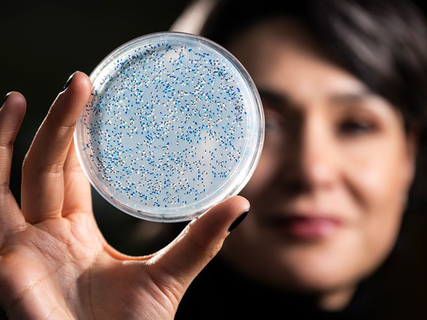 A woman, slightly out of focus in the background, holds up a petri dish filled with blue and white specks.
