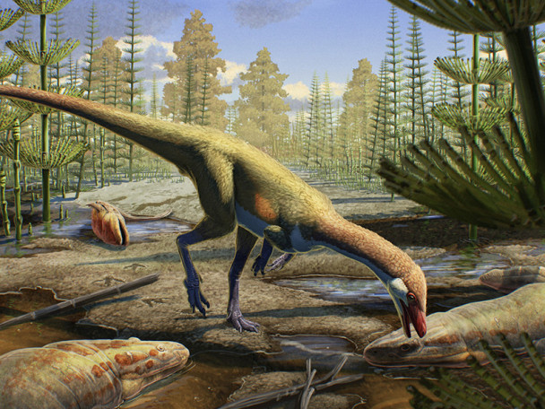 An illustration of several lizard-like dinosaurs in an area with vegetation and pooled water.