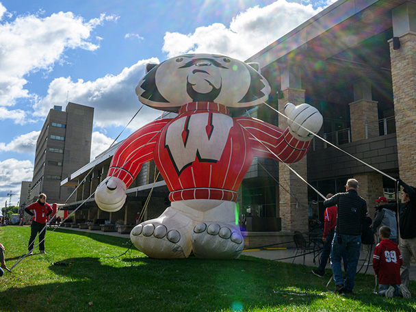 A crew sets up a giant inflatable Bucky Badger in preparation for the Homecoming football game.