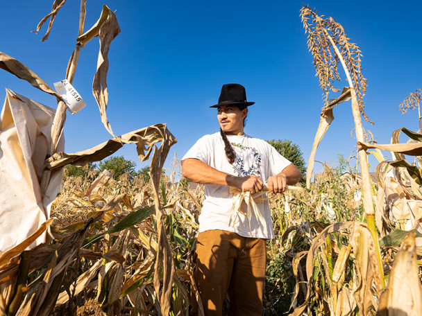 A man shucks an ear of corn as he stands in a cornfield.