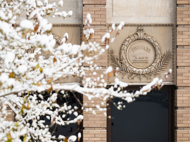 A close-up of a stone carving on a building -- a circular logo with the word 'Forward' and a Badger inside.