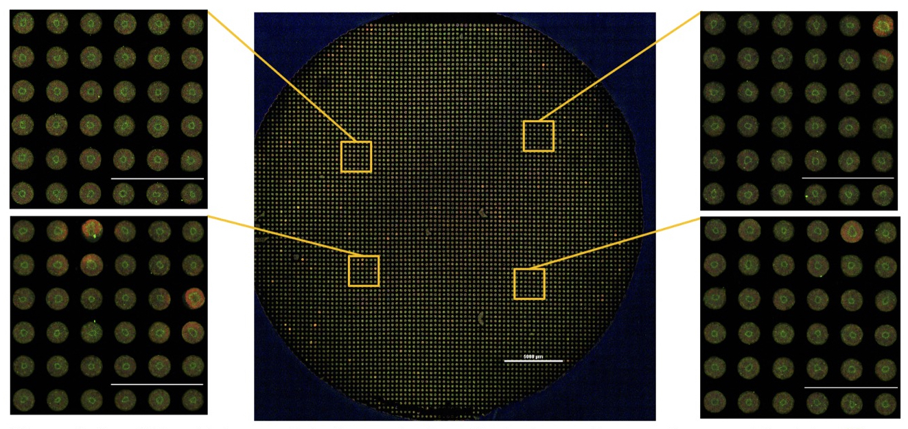 Research - University of Wisconsin–Madison